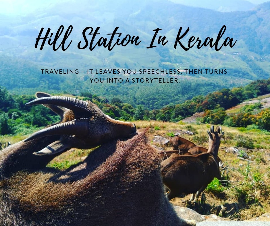 Hill Station in Kerala