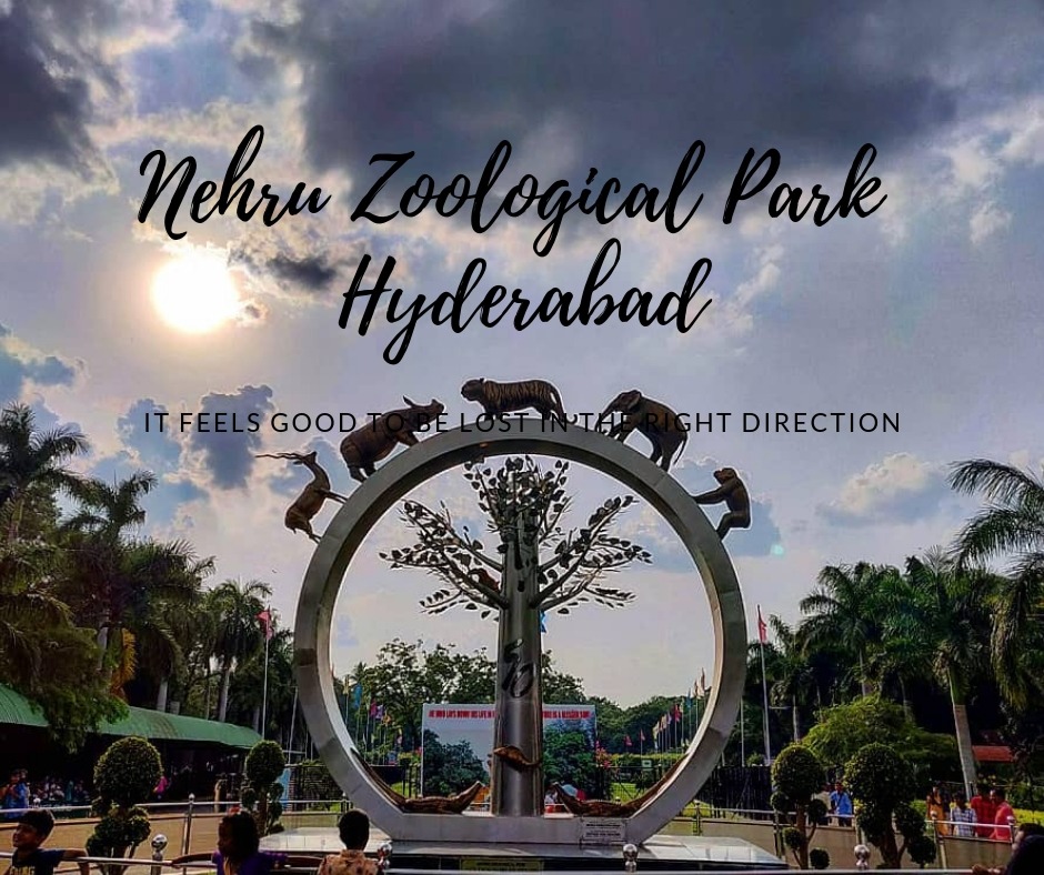 Nehru Zoological Park Hyderabad