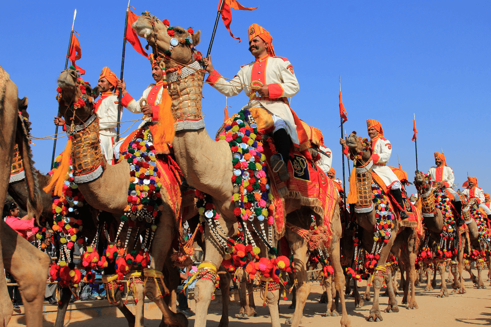 Camel Festival