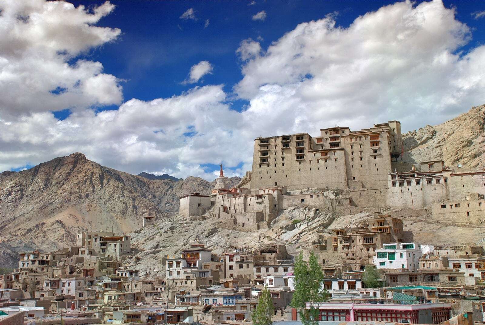 Leh-Palace-View-Image-Picture